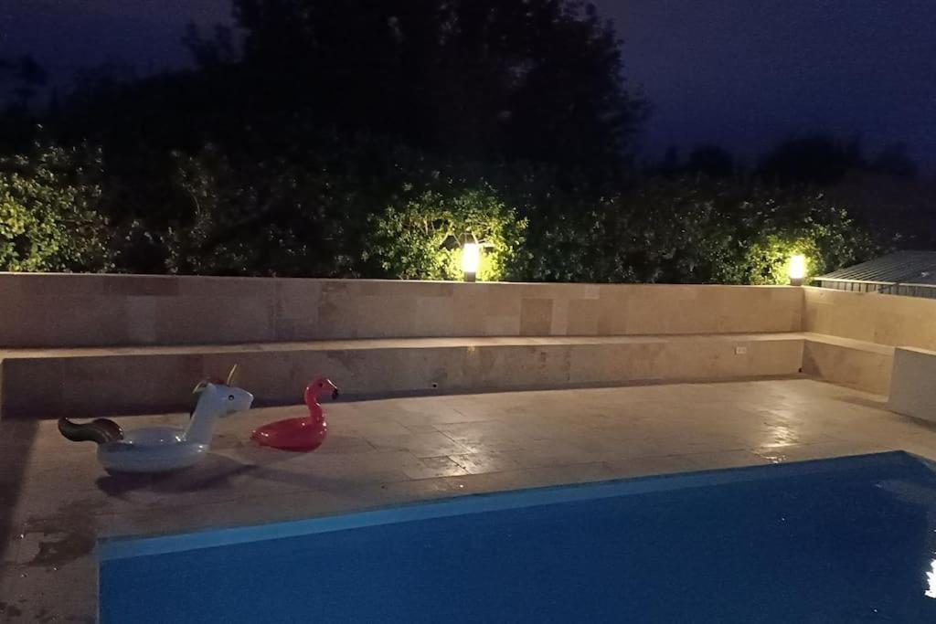 Charmant Studio Avec Piscine Villemoustaussou Eksteriør billede